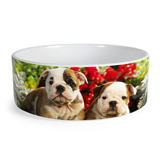 Bol Ceramică pentru Câine Sublimabil - Personalizabil