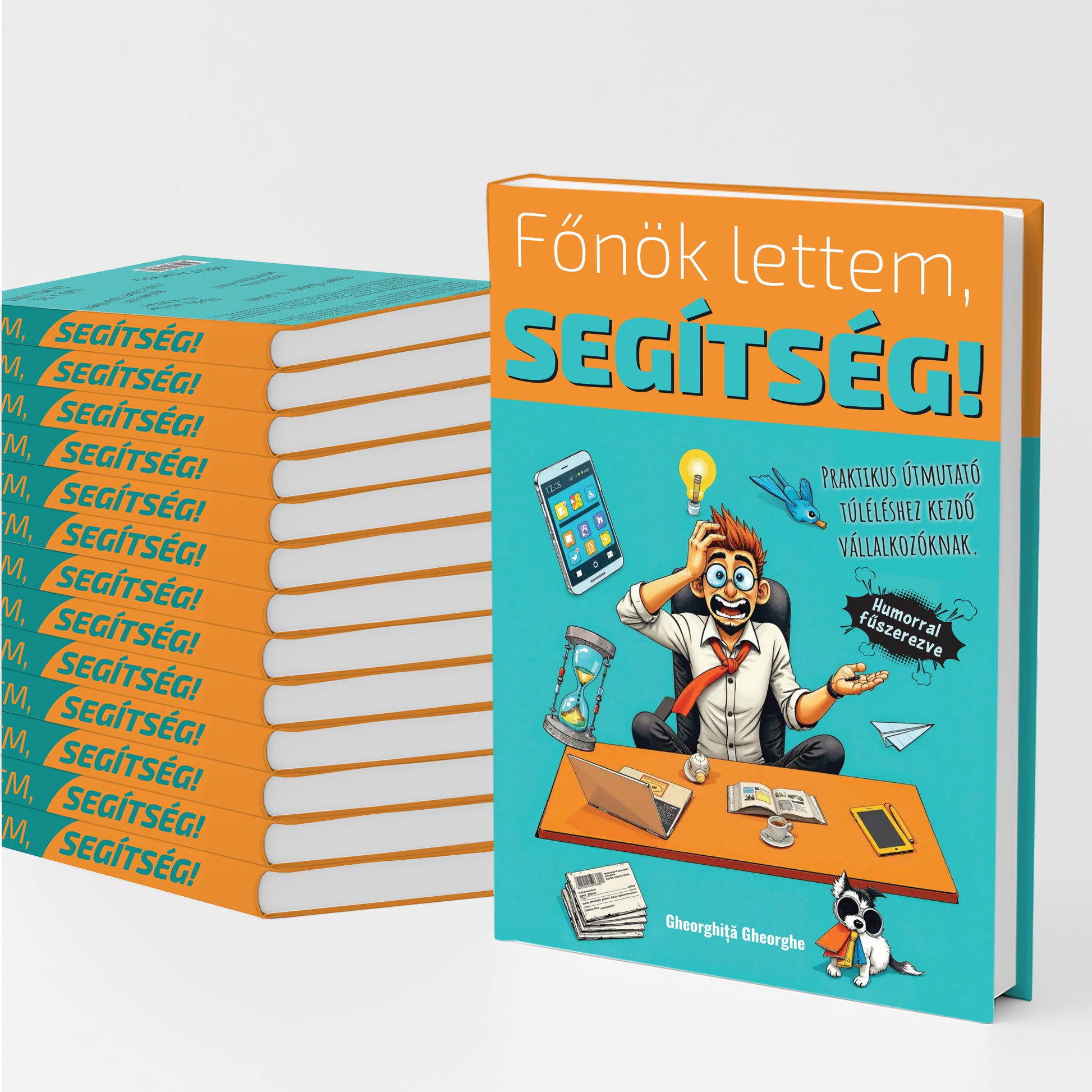 Főnök lettem, segítség! könyv